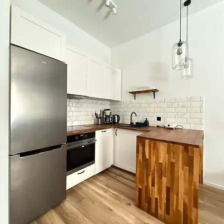 Zabrsaint Grand Z 3 Sypialniami W Sercu Katowic *