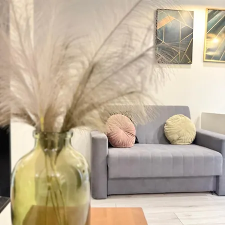 Zabrsaint Grand Z 3 Sypialniami W Sercu Katowic *