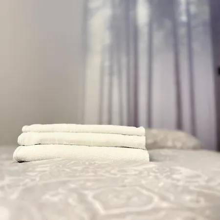 Zabrsaint Grand Z 3 Sypialniami W Sercu Katowic * Kattowitz