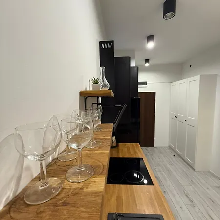 Zabrsaint Grand Z 3 Sypialniami W Sercu Katowic Kattowitz