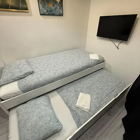 Zabrsaint Grand Z 3 Sypialniami W Sercu Katowic Apartment *