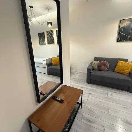 Zabrsaint Grand Z 3 Sypialniami W Sercu Katowic Apartment *