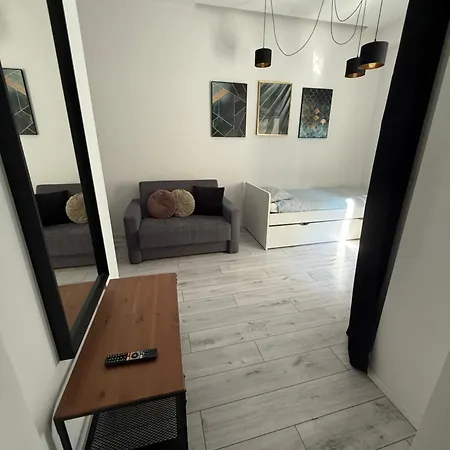 Zabrsaint Grand Z 3 Sypialniami W Sercu Katowic Appartamento