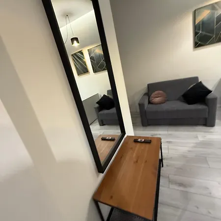 Appartamento Zabrsaint Grand Z 3 Sypialniami W Sercu Katowic