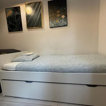 Apartment Zabrsaint Grand Z 3 Sypialniami W Sercu Katowic *