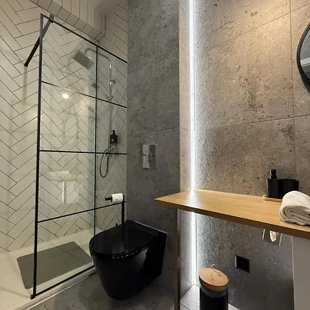 Zabrsaint Grand Z 3 Sypialniami W Sercu Katowic Apartment *