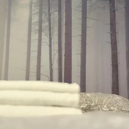 Apartment Zabrsaint Grand Z 3 Sypialniami W Sercu Katowic Kattowitz