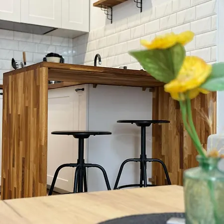 Zabrsaint Grand Z 3 Sypialniami W Sercu Katowic Apartment